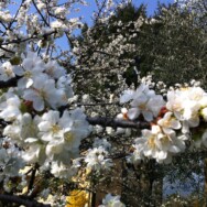 Aspettando la Primavera, il momento di rigenerarsi